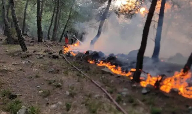 Yayladağı'nda örtü yangını
