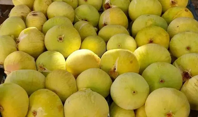 Mersin'de incirin sezonu 80 lirayla kapatması üreticinin yüzünü güldürdü
