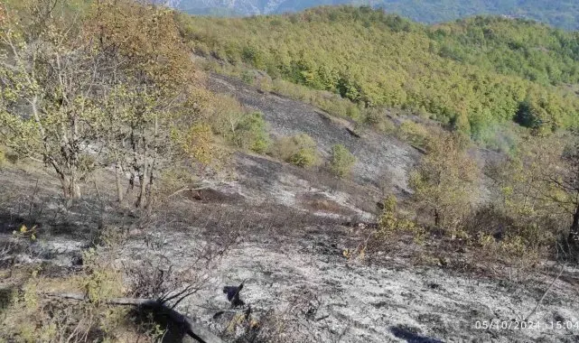 Örtü yangını ormana sıçramadan söndürüldü