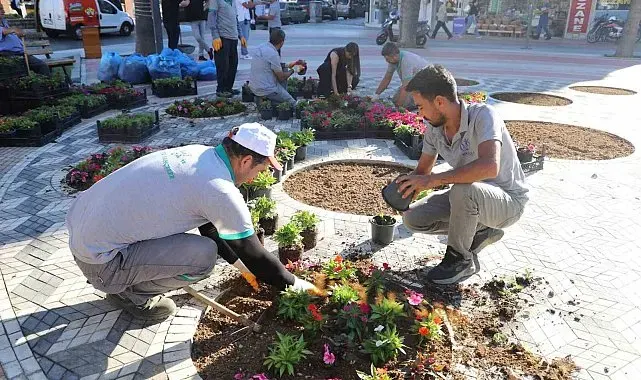 Nazilli Belediyesi kendi yetiştirdiği çiçeklerle Cumhuriyet Meydanı'nı süsledi