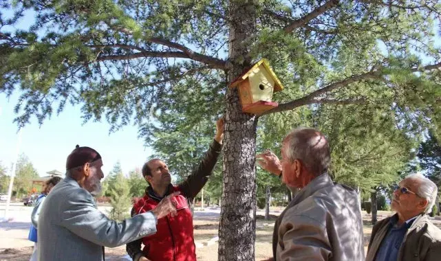 Karaman'da kuş evleri ağaçlara yerleştirildi