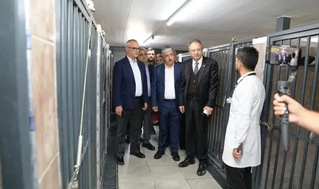 Dilovası'nda hayvanları koruma gününde farkındalık