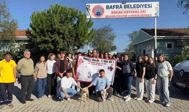 Barınaktan okula sevimli dost