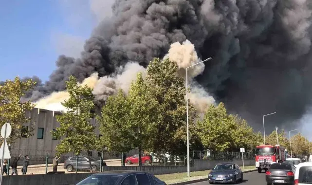 Tekirdağ'da fabrika yangını
