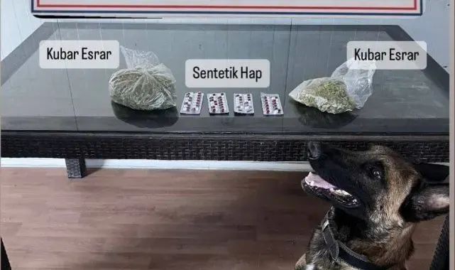 Delta, valizdeki uyuşturucuyu buldu