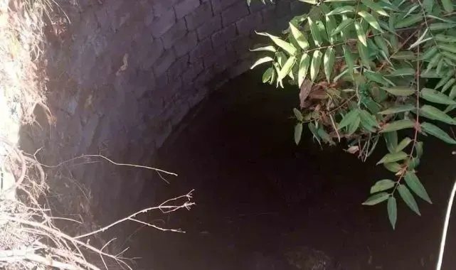 Babaeski'de kuyuya düşen köpek itfaiye ekiplerince kurtarıldı