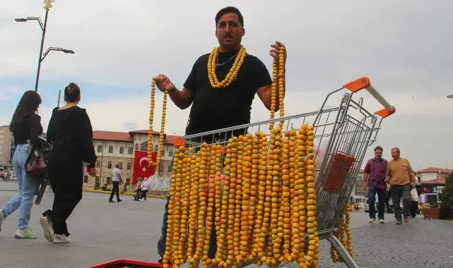 O sirkelerin şahı, sezon üretimi başladı