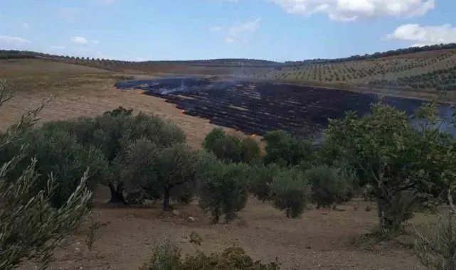 Altınözü'nde anız yangını