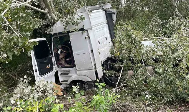 Anadolu Otoyolu'nda kontrolden çıkan tır, ağaca çarparak durabildi: 1 yaralı