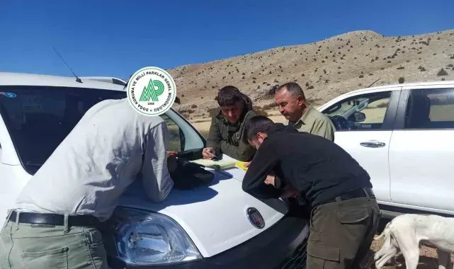 Yasadışı av yapanlara ceza
