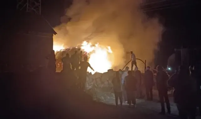 Yüksekova'da 10 bin bağ ot kül oldu