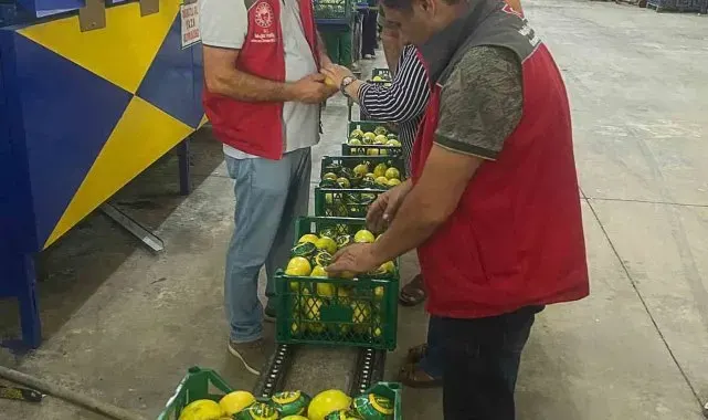 Ortaca'da nar ve limon ihracatında rekor beklentisi
