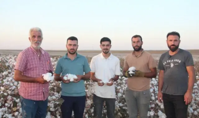 Şanlıurfa'da 'beyaz altın' hasadı başladı