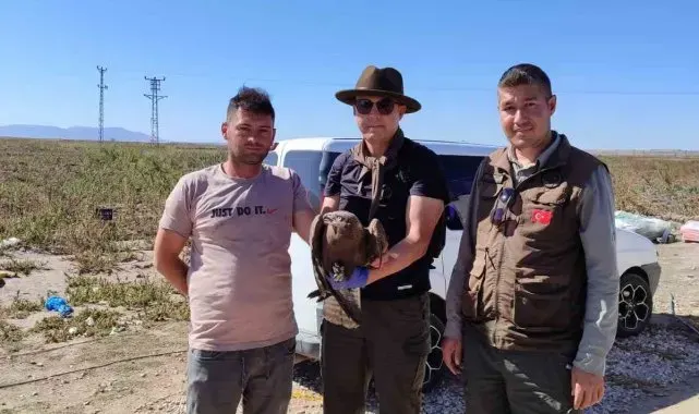 Yaralı kuşlar, tedavi edilerek doğaya bırakılacak