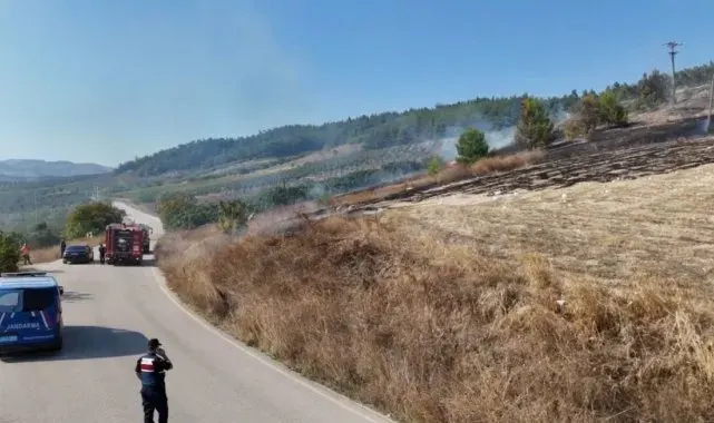 Ormanlık alanda korkutan yangın