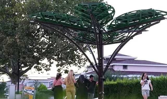 Denizli'de 'Solar Ağaç' kent yaşamıyla buluştu