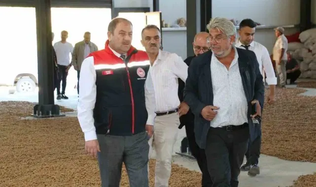 İşadamı Kemaliye'de 5 bin badem ağacı dikti