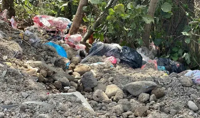 CHP'li Pazar Belediyesi kesilen cezalara rağmen çöplerini dere kenarına dökmeye devam ediyor