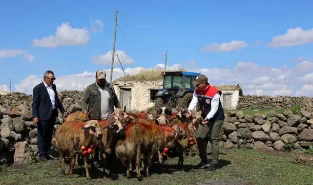 Kars'ta koç katımı yapıldı