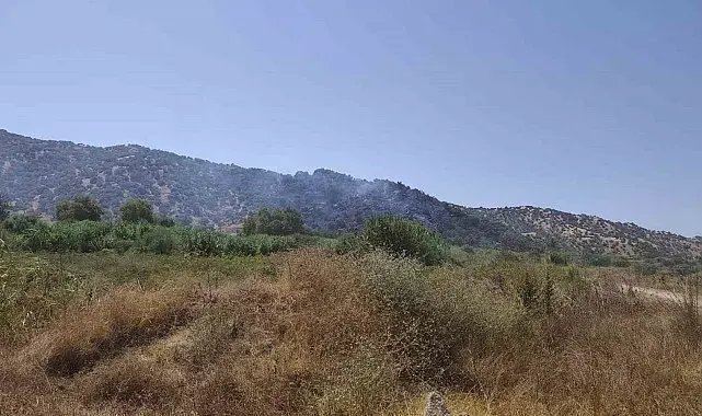 Aydın'daki zirai alan yangını kontrol altına alındı