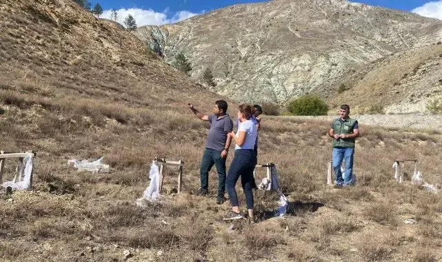 Başpınar köyüne 100 bin tuz çalısı dikilecek