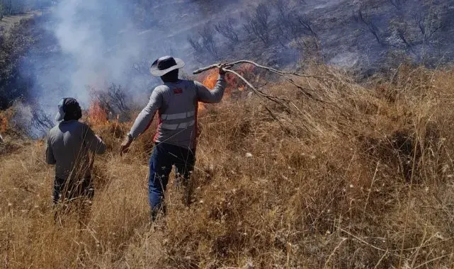 Tunceli'deki yangın ormanlık alana sıçramadan söndürüldü