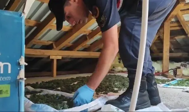 Jandarma evin her tarafına gizlenmiş uyuşturucuyu böyle buldu