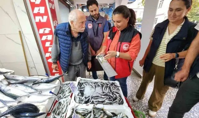 Çanakkale'de Balık Denetimi: Yasal Avlanma Boyları ve Hijyen Kontrolleri Yapıldı