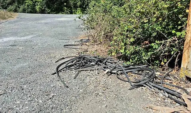 Sultangazi'de 20 ailenin yaşadığı sokağa bir kamyon atık döküp kaçtı