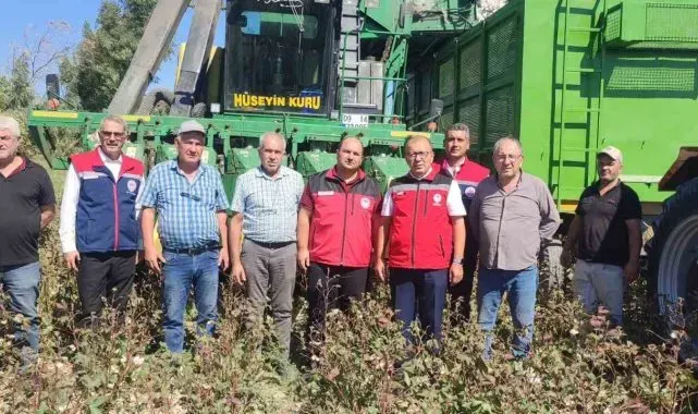 AB tescilli Söke Pamuğu hasadı sürüyor