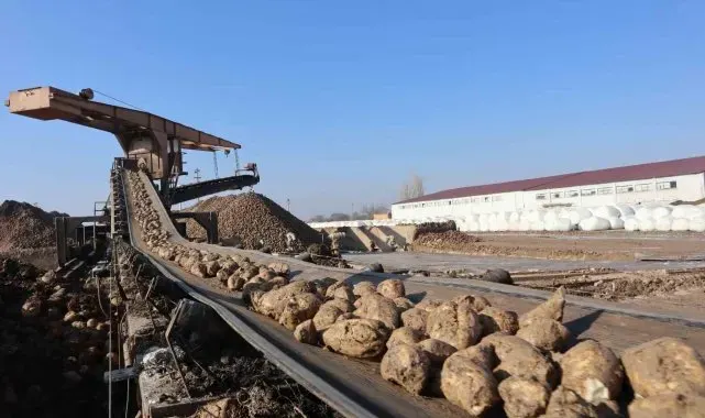 Malatya Şeker Fabrikası'nda hedef 55 bin ton şeker üretimi