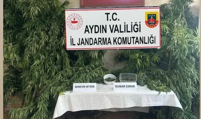 Germencik'te uyuşturucu operasyonu: 1 gözaltı