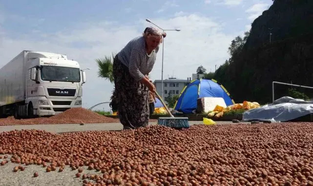 Fındık hem randıman hem de rekolte olarak üreticiyi yanılttı