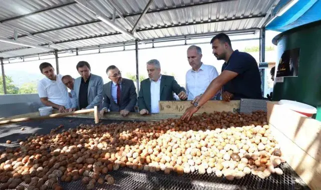 İnegöl'de hedef 42 bin ton ceviz