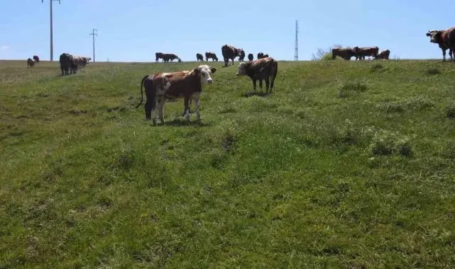 Niğde'de 5 bin 202 üretici destekten yararlanacak