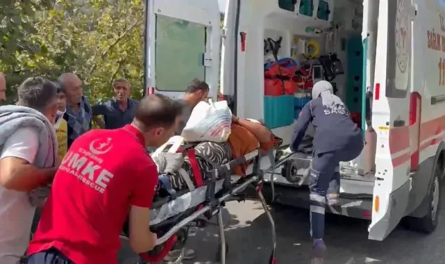 Fındık işçilerini taşıyan minibüs uçuruma yuvarlandı: 3'ü ağır 22 yaralı