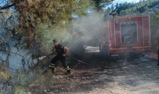 Yayladağı'nda örtü yangını
