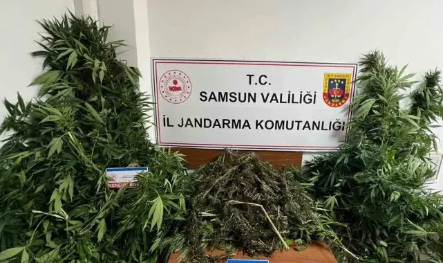 Jandarma 7 kilo kubar esrar ele geçirdi
