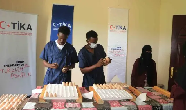 TİKA, Somali'de 'Damızlık Etlik Piliç Üretimi Projesi'ni hayata geçirdi