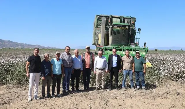 Başkan Arıcı pamuk hasadına katıldı