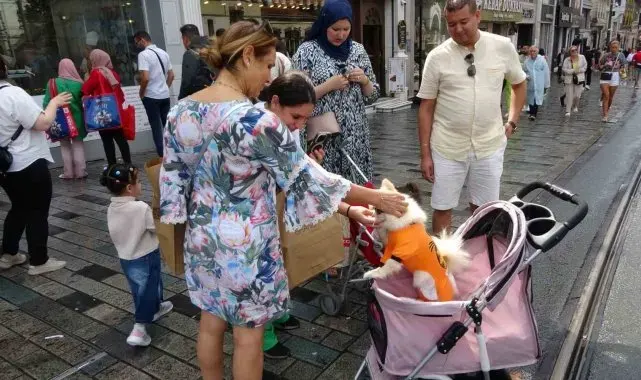 Taksim Meydanı'nda bebek arabasında gezdirilen köpek ilgi odağı oldu
