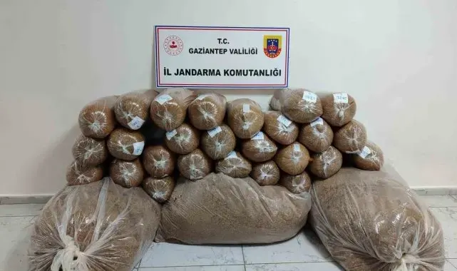 Gaziantep'te 500 kilo kaçak tütün ele geçirildi