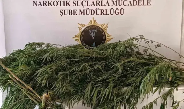 İkametinden bin 248 gram esrar çıktı, tutuklandı