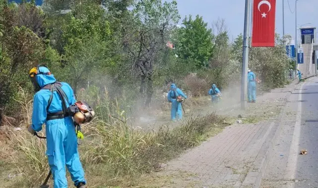 Park ve bahçelerde sonbahar temizliği