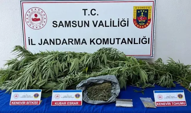 Jandarma ekiplerince uyuşturucu madde ele geçirildi