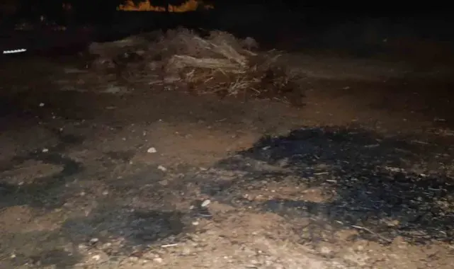 Ev yangını ihbarına giden itfaiye yanan susamlarla karşılaştı