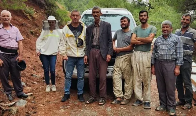 Atburgazı Mahallesi'nde arılı kovan tespiti yapıldı