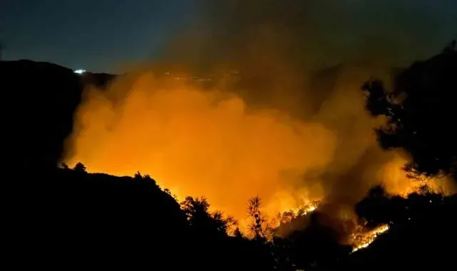 Hatay'da orman yangını