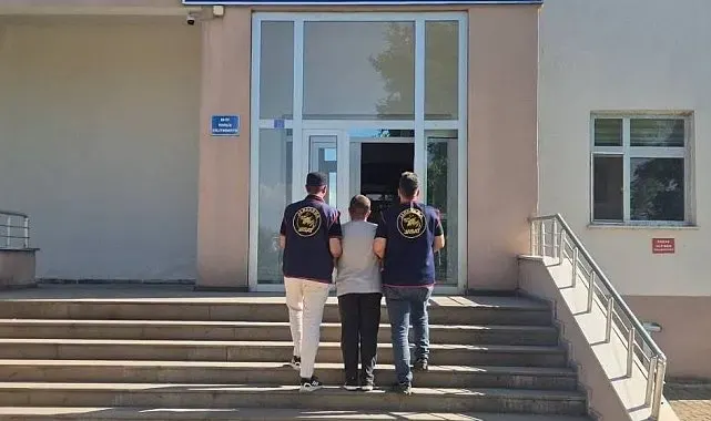 Bingöl'de huzur ve güvenlik operasyonları