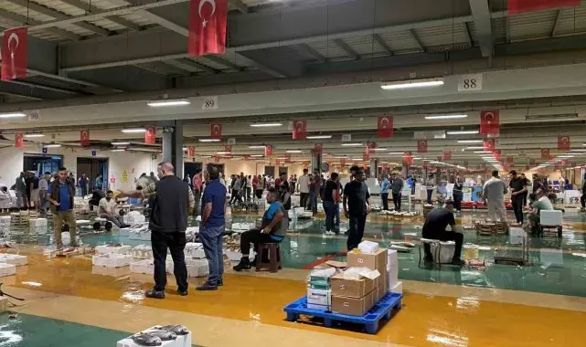 Av yasağı sona erdi, İstanbul'da sezonun ilk balıkları avlandı